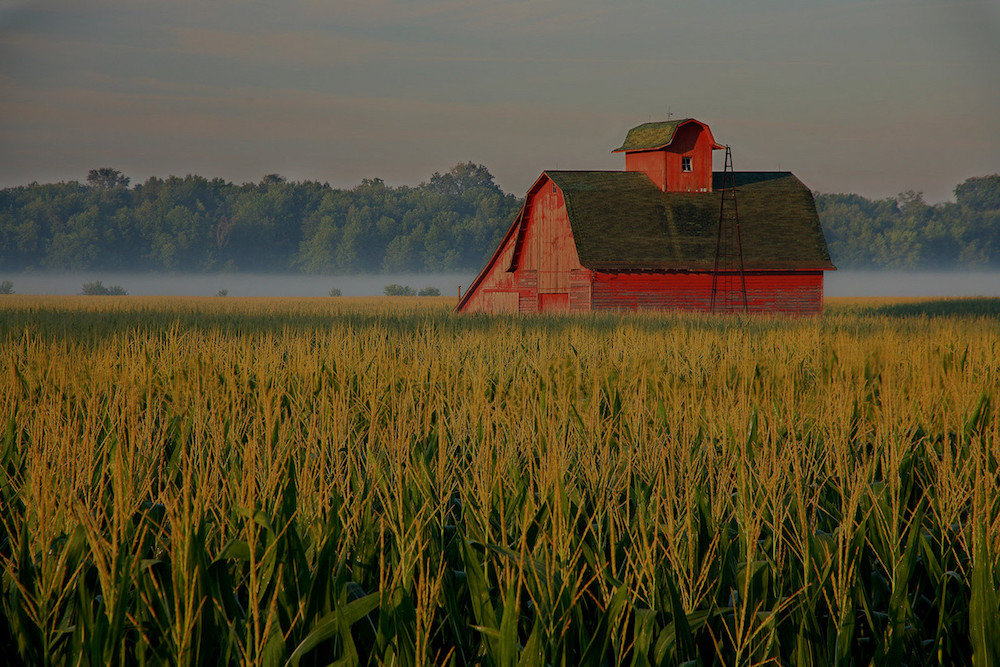 farm and crop insurance in Paragould STATE | Lennox Insurance